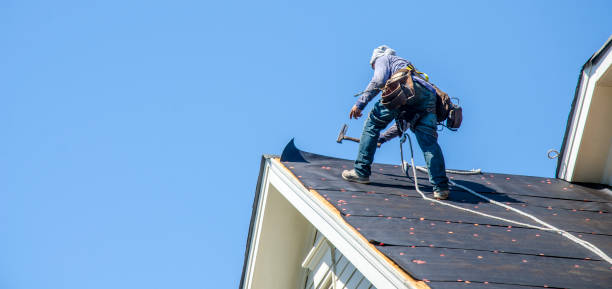 Best Storm Damage Roof Repair  in Millvale, PA